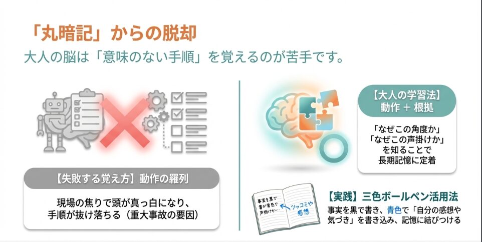 丸暗記からの脱却。動作と根拠をセットで覚える大人の学習法と三色ボールペン活用法